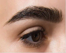 Custom Brow Services - Browshaping Sydney